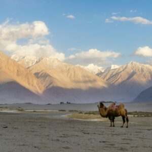Inde : Ladakh & Punjab 15 jours / 13 nuits