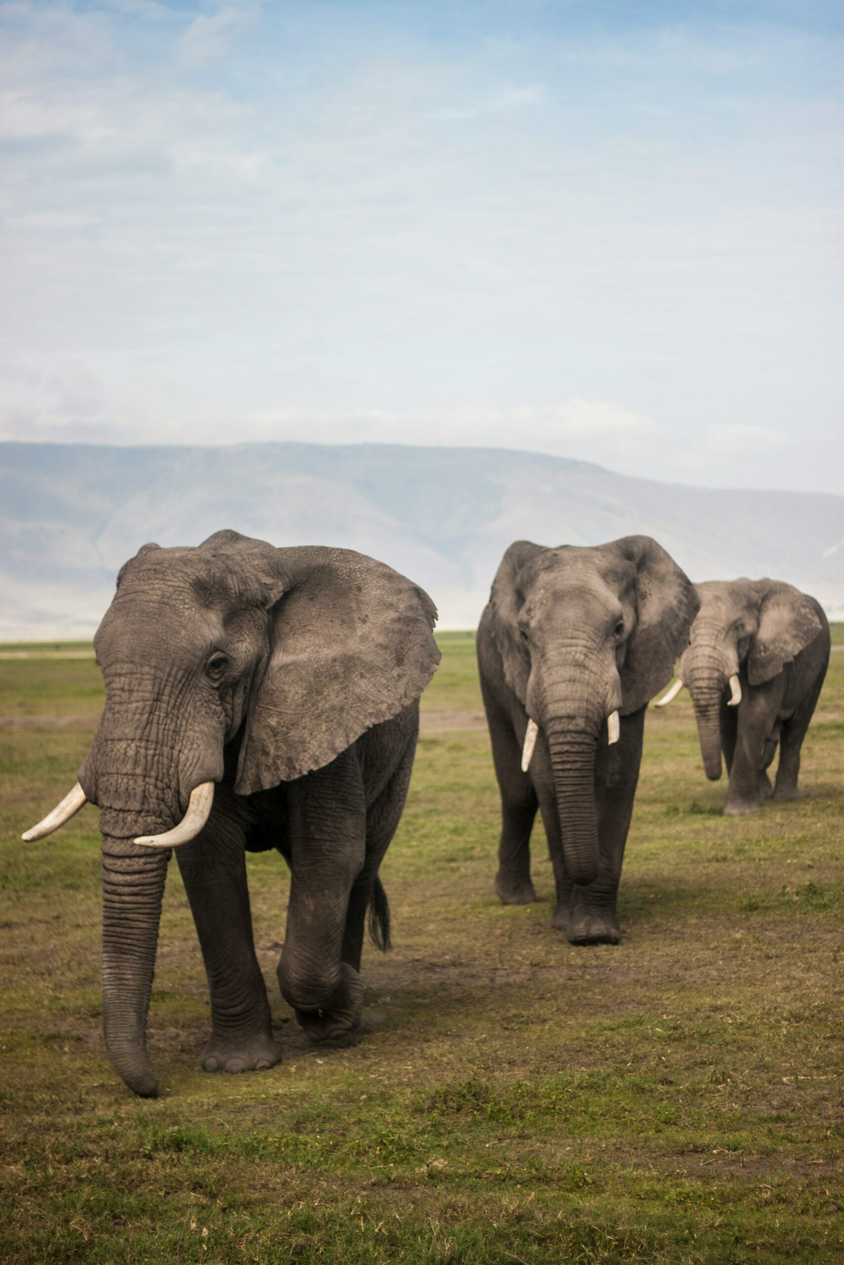 tanzanie & zanzibar