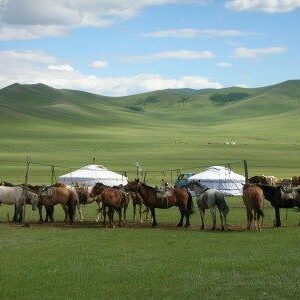 Mongolie : Merveilles de Mongolie Centrale Circuit 17 jours / 14 nuits